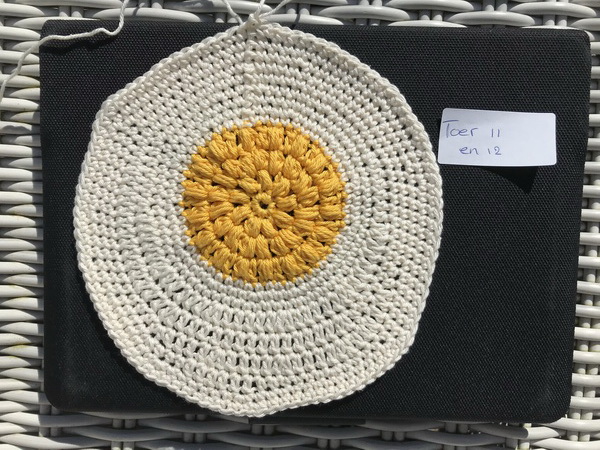 Pannenlap Gebakken ei haken_09