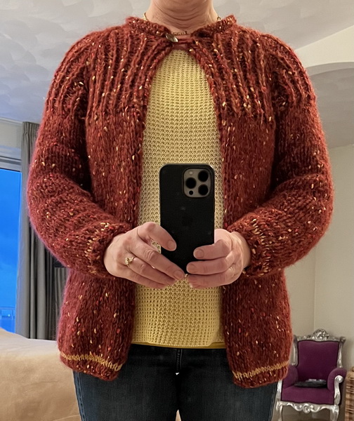 Vest met raglanmouw breien_6